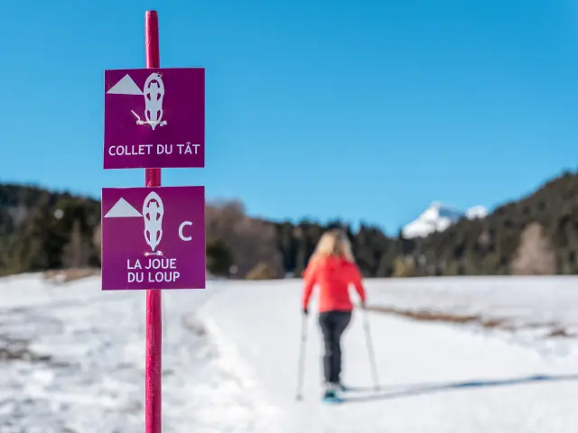 Winter Activities Snowshoeing Nordic Area Home Itinera Magica ©marion Carcel Foehn Photography (1)