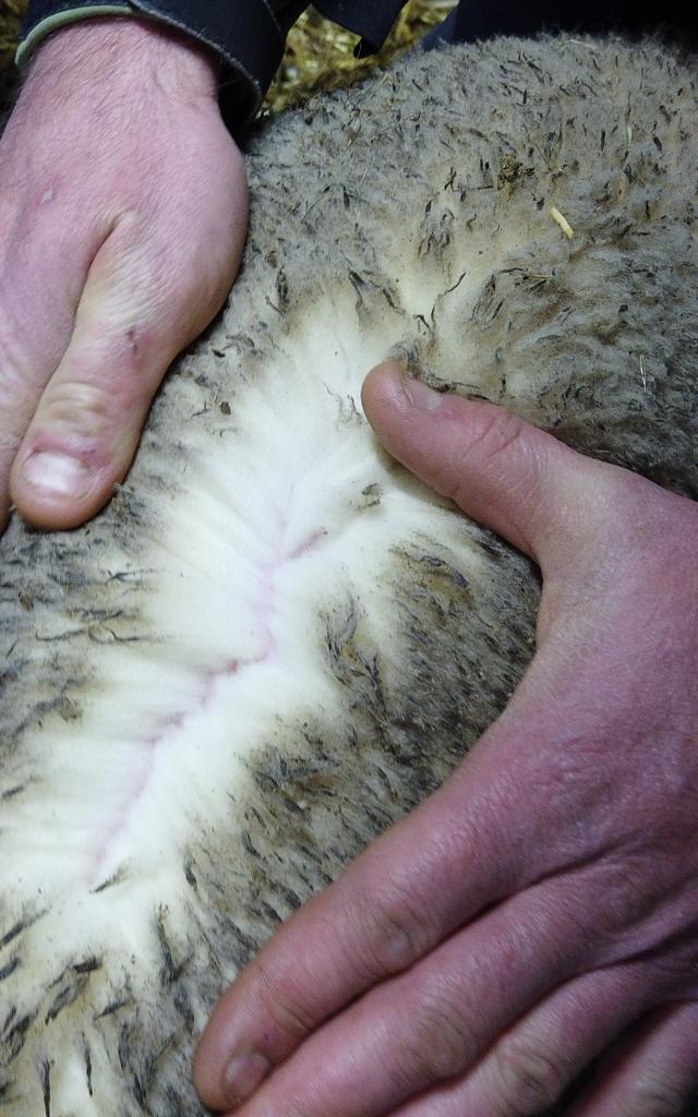 Prestataires Producteurs Flouka ©otdevoluy (11)