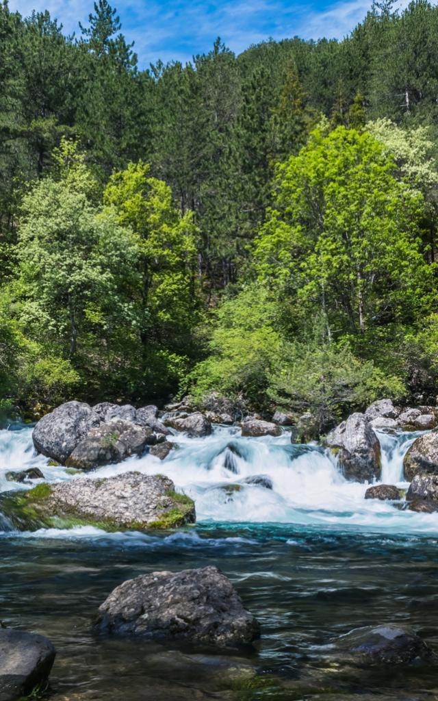 Les sources des Gillardes