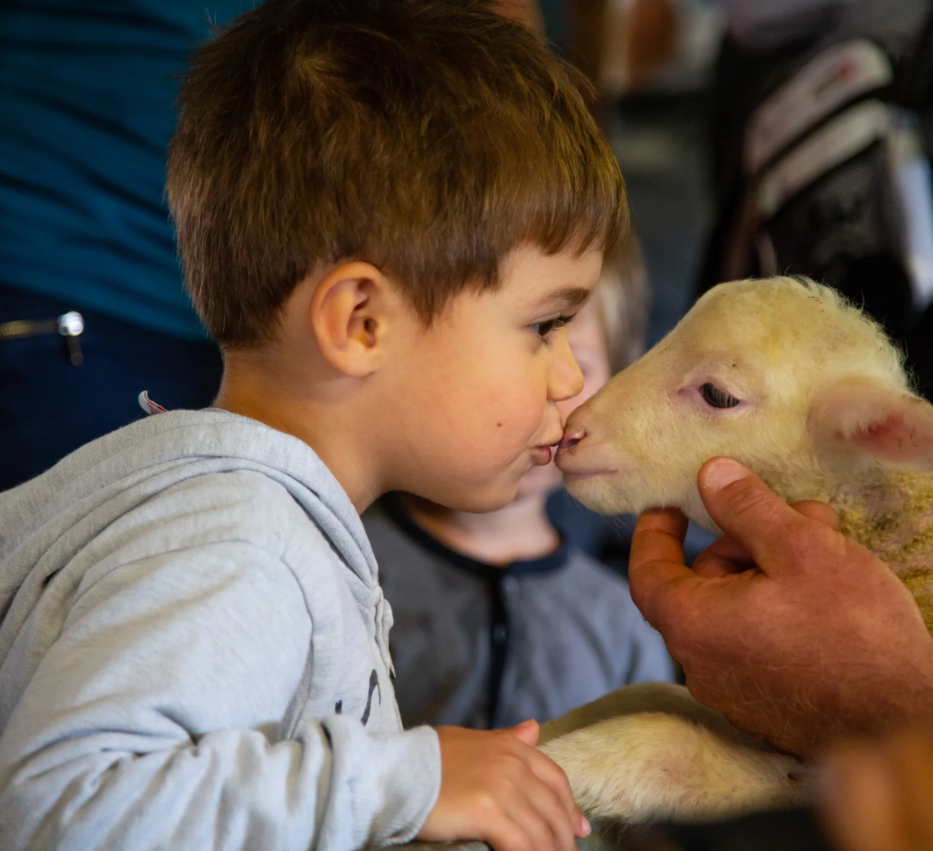 Visite de la ferme Flouka, dans Le Dévoluy, Hautes Alpes