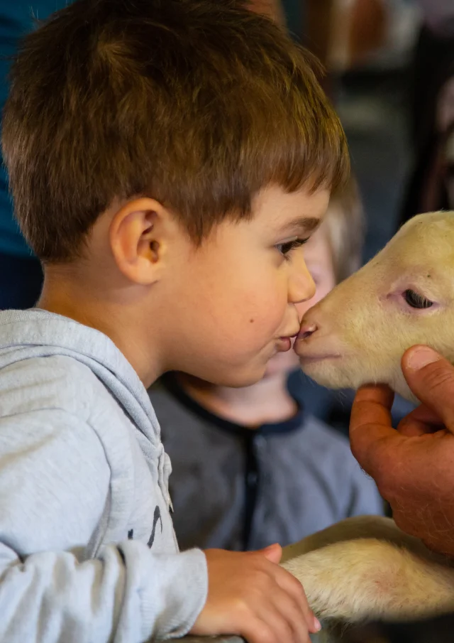 Visite de la ferme Flouka, dans Le Dévoluy, Hautes Alpes