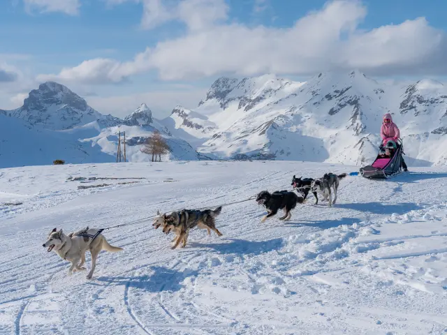 Attelage de chiens de traîneaux tirant un musher sur un plateau enneigé avec les montagnes du Dévoluy en arrière-plan.