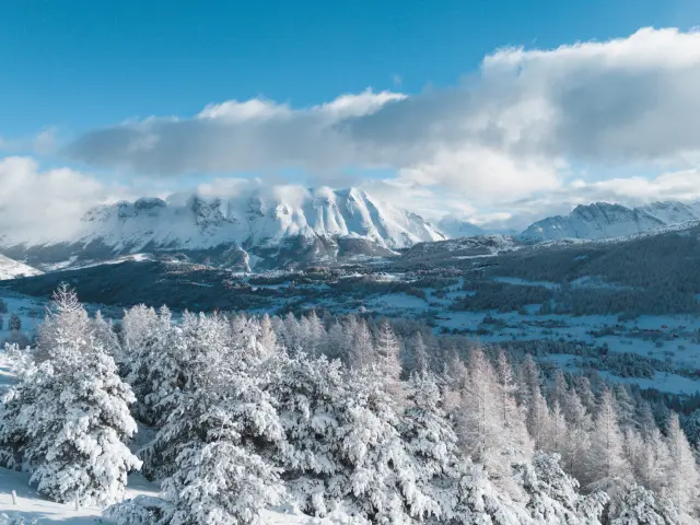 Une forêt enneigée au premier plan avec les montagnes du Dévoluy en arrière-plan sous un ciel d’hiver, dans les Hautes-Alpes.